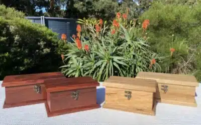 Pet Cremation Services: How to Honour Your Beloved Companion in Rainbow Bay