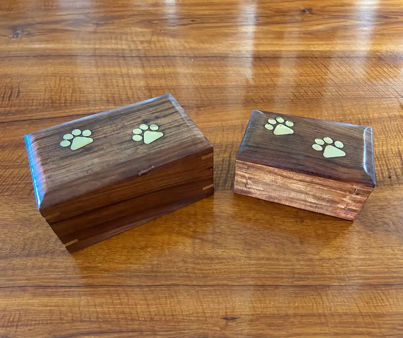 wooden paw box